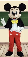 Mickey Mouse Costume 