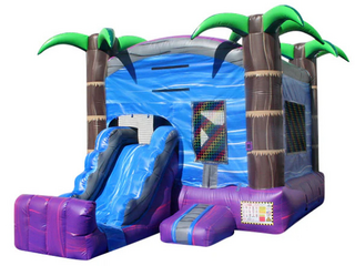 Tropical Bounce House Combo Dry