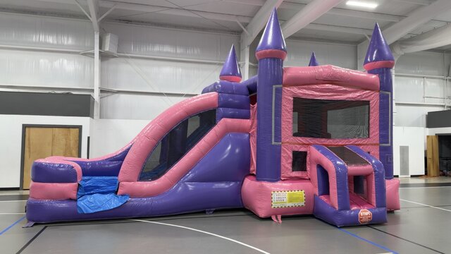 PINK/PURPLE COMBO WET/DRY