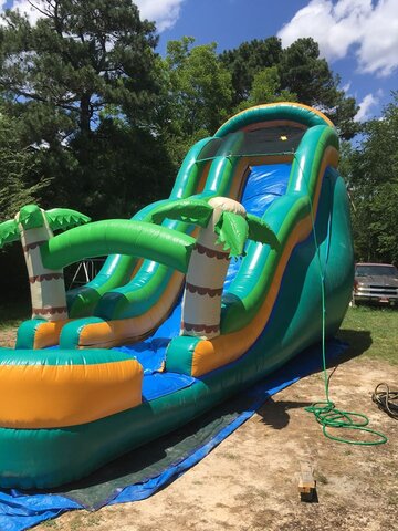 24 Ft  Tropical Waterslide