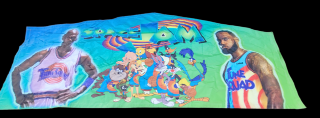 Space Jam Banner 