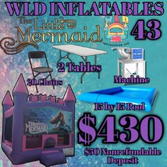 Little Mermaid 43 package 