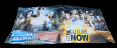 WWE Banner 