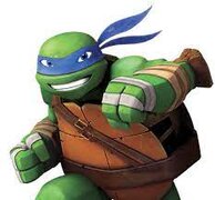 Blue Ninja Turtle