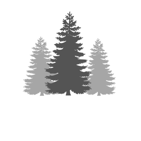 Dumpster Rentals In Franklin,nc - Woodland Waste Co