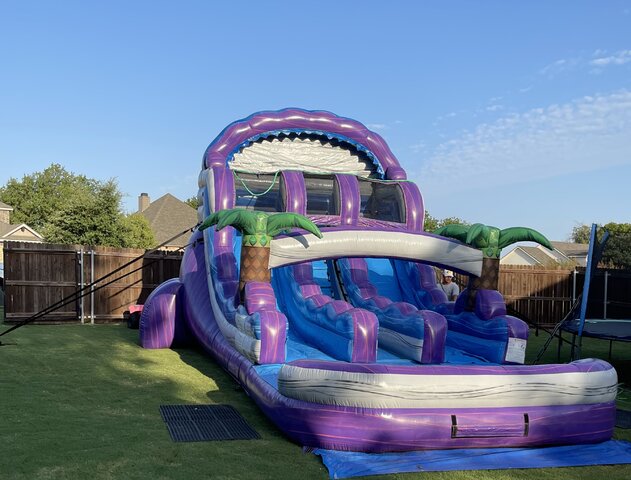 Purple Palm Tree Dual Lane Water Slide