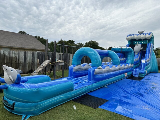 Mega Dolphin Water Slide