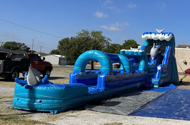 Mega Dolphin Waterslide