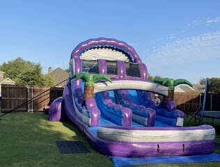 Purple Palm Tree Dual Lane Water Slide