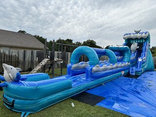 Mega Dolphin Water Slide