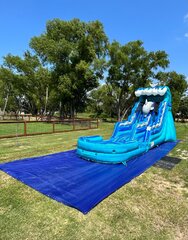 Dolphin Water Slide