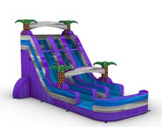 Purple Palm Tree Dual Lane Water Slide