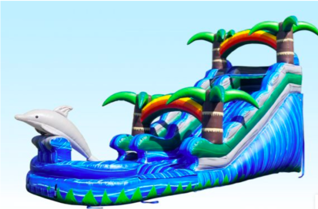 16 FT DOLPHIN SLIDE