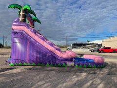 16 FT PINK AND PURPLE TROPICAL SLIDE