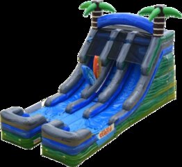 Wet Tropical Double Lane Slide
