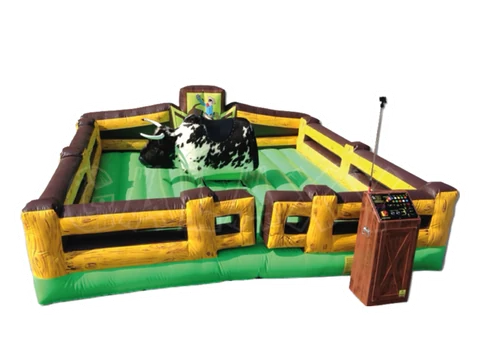 Mechanical rides