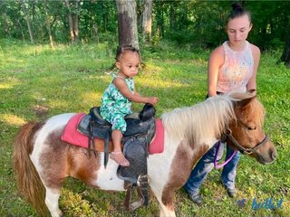 Pony Ride