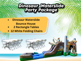 Dinosaur Waterslide Party Package 