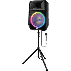 Speaker with microphone and stand