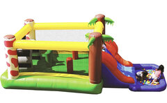 Rainforest Waterfall bounce House and water slide