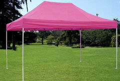 Pink 10x15 Pop up tent