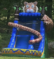 Leopard Water slide