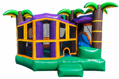 Dry Combo Inflatables / Bounce Houses/ Fun Jumps