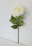 Real Touch Rose, White 