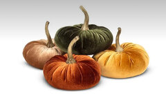 Small ASSORTED VELOUR PUMPKINS