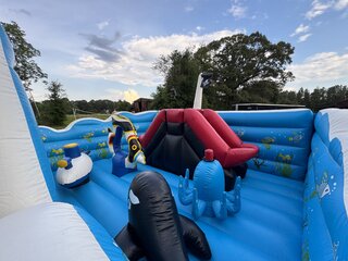 Under The Sea Toddler Course